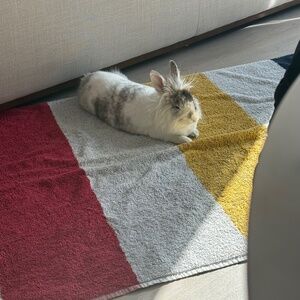 Meet your Posher, Henry